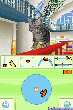 Playground screenshot 3 for Nintendo DS
